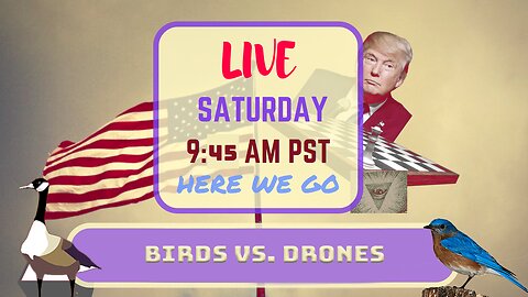 Saturday *LIVE* Birds vs. Drones Edition