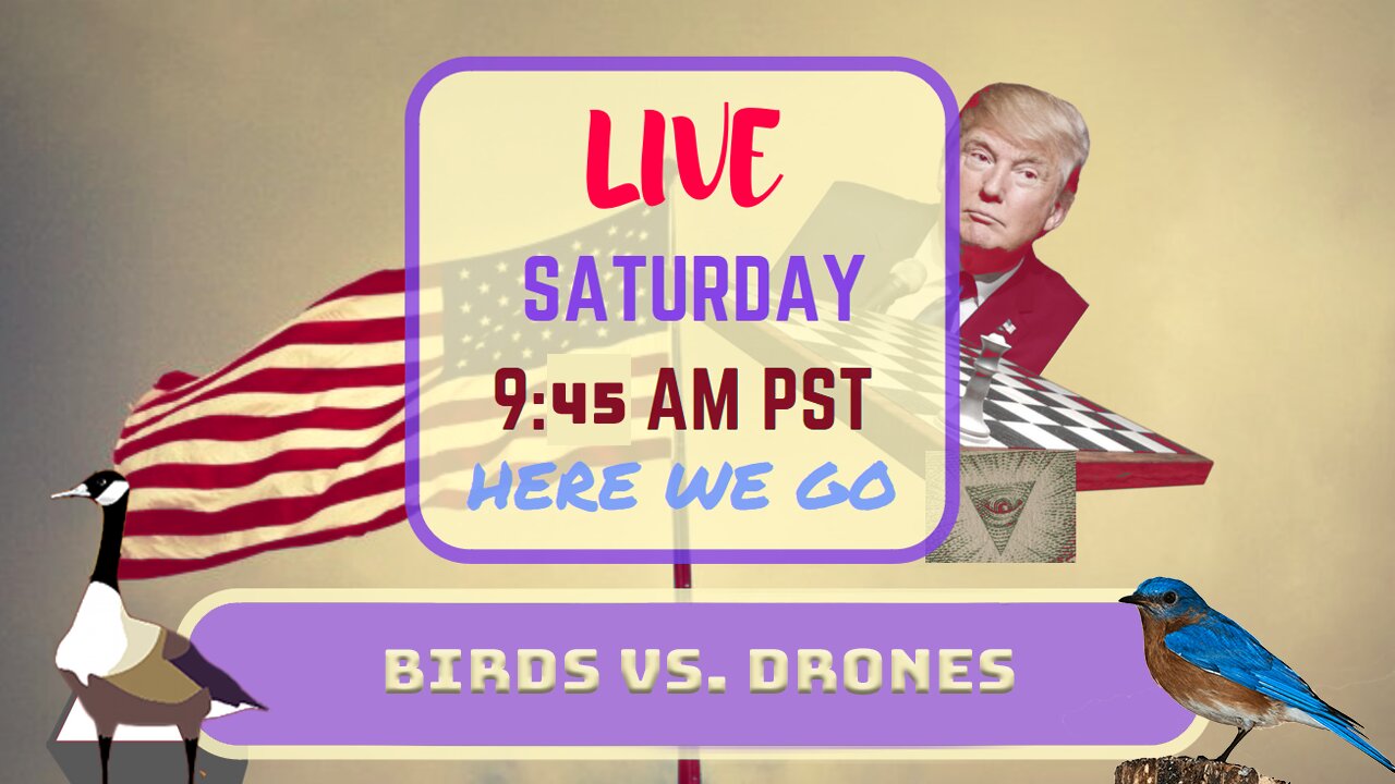 Saturday *LIVE* Birds vs. Drones Edition