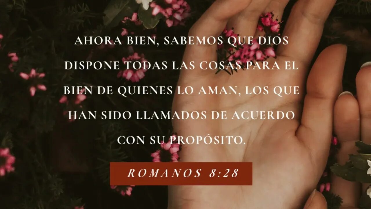 Todas la cosas ayudan a bien... #devocional #devocionaldiario #jesuscristo