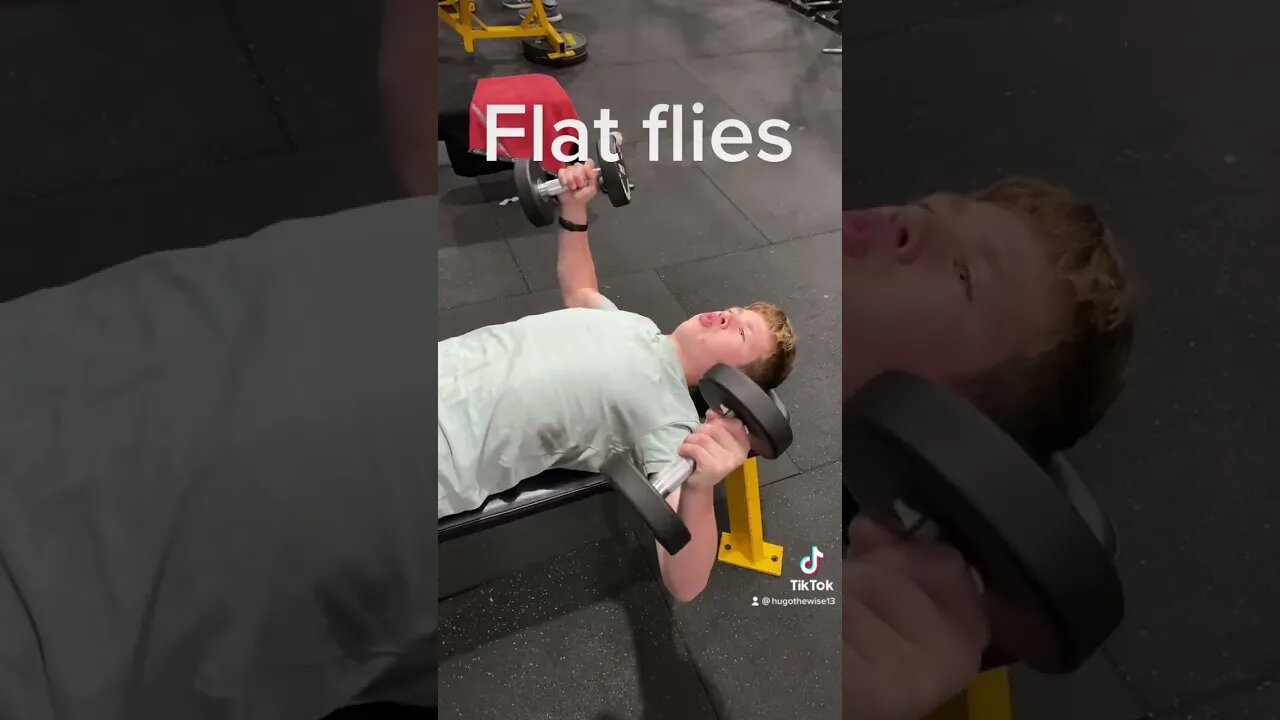 flat flies 7.5 kg each hand #gym