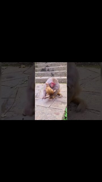 Most Amazing and trending video||relaxing your mind||trendig videos|| #shorts #trending #viral #live