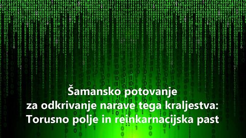Šamansko potovanje za odkrivanje narave tega kraljestva: Torusno polje in reinkarnacijska past