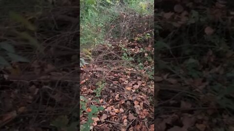 Another Bonfire, Cleaning Up Debris