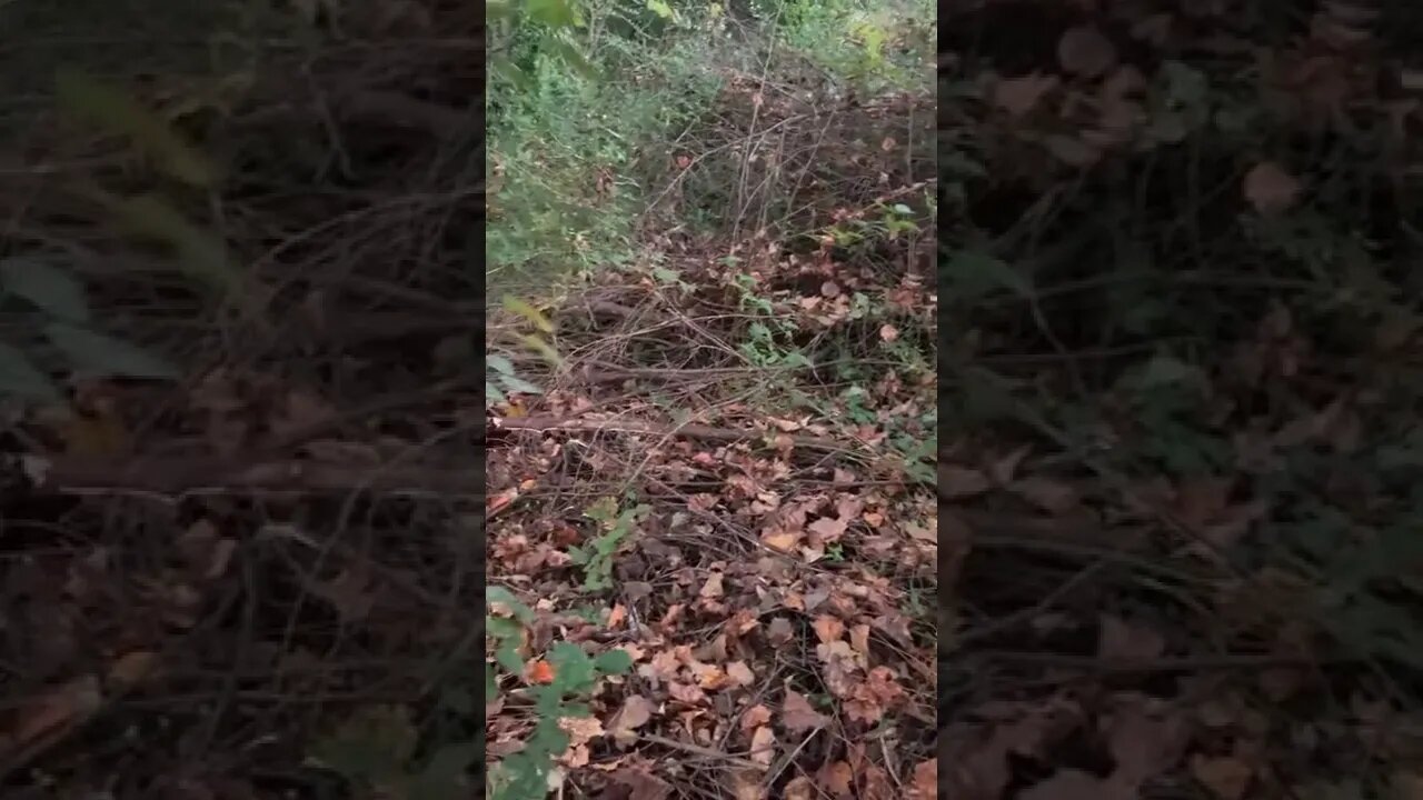 Another Bonfire, Cleaning Up Debris