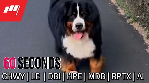 ⏱️60 Seconds $CHWY 🐶 $LE $HPE $MDB $RPTX $AI more @MarketRebels 🏴‍☠️