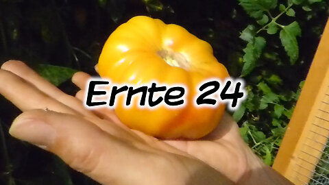 Mach's Dir. Selbst. - Ernte 24 (Serie: Ernte 24, Teil 1)