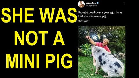 Logan Paul ABANDONS Pet Pig Pearl