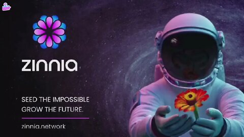 Zinnia Network - The Overview