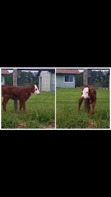 Found something while checking on this sweetie, made think of you