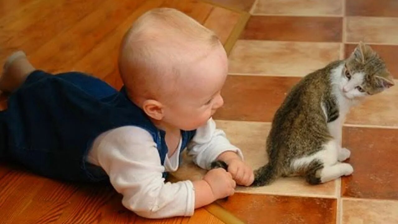 When Your Cat Become a Special Friend ❤️😄😄😄