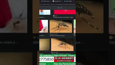 Dengue tá matando mais que c19... temos que nos cuidar e nossos vizinhos
