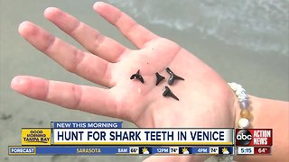 Venice is a fun affordable spring break trip for families