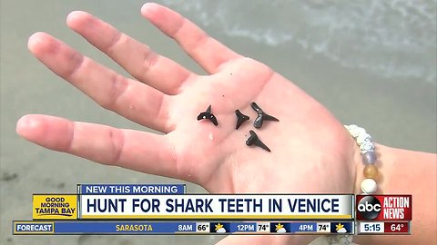 Venice is a fun affordable spring break trip for families