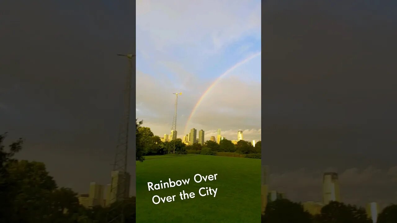 Over the Rainbow #dog #city #rainbow #pitbull #dennisalan #overtherainbow