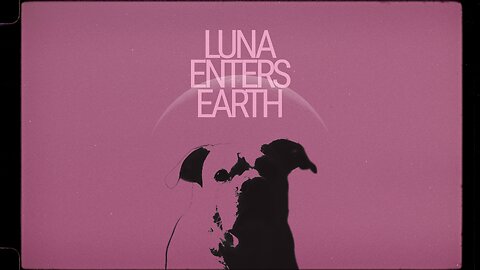 Experiencing the World Through a Puppy’s Eyes: Luna Enters Earth