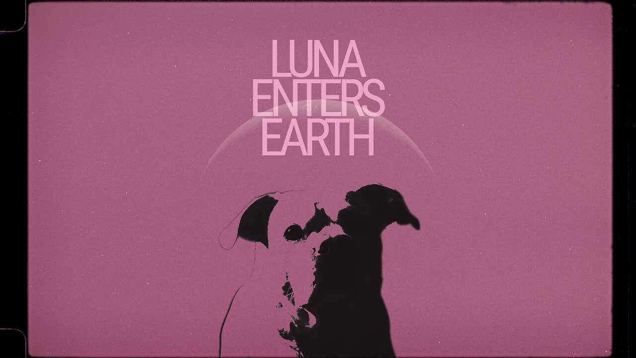 Experiencing the World Through a Puppy’s Eyes: Luna Enters Earth