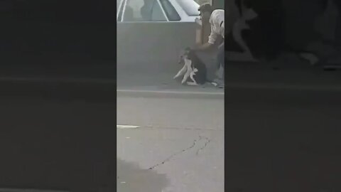 Man saved a dog 🐶 | #Shorts #Animals #Dog