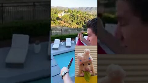 世界上最好的恶作剧出错了!如何赢得每一次恶作剧战争的挑战反动视频