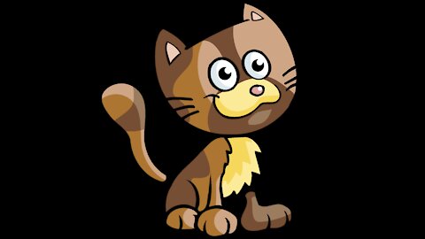 funny pets