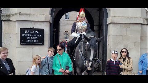 Tourist warned not to touch the Reins #horseguardsparade