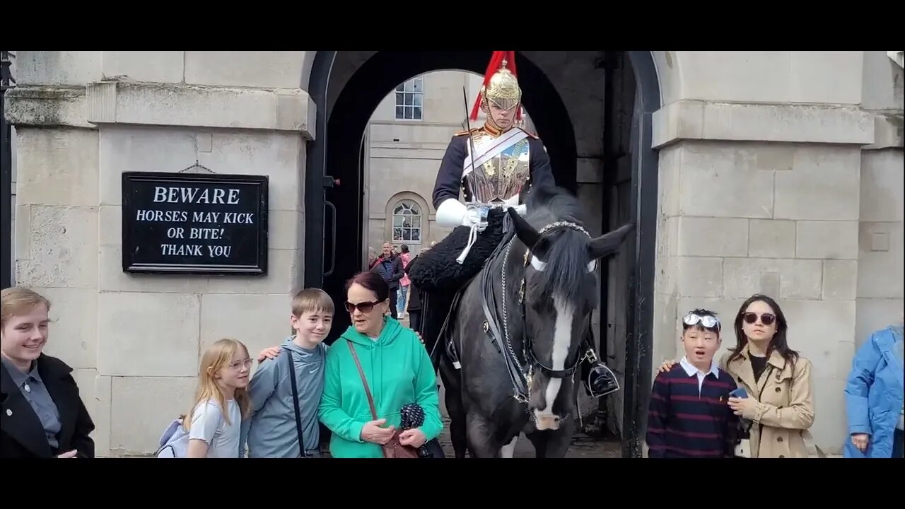 Tourist warned not to touch the Reins #horseguardsparade