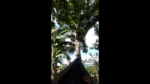 peace of mind