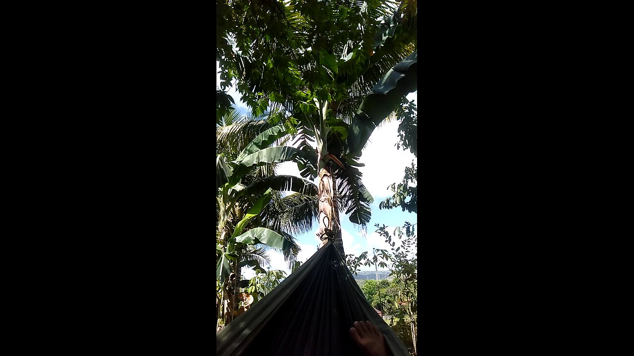 peace of mind