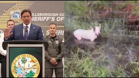 Owner Of Abandoned Dog Faces Felony Animal Cruelty Charges ‘Totally Unacceptable’
