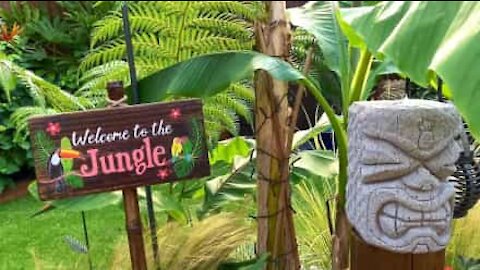 Mulher transforma quintal em jardim tropical incrível!