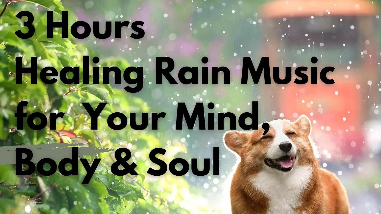 Full 3 Hours of Healing Soft Rain for Your Mind, Body & Soul