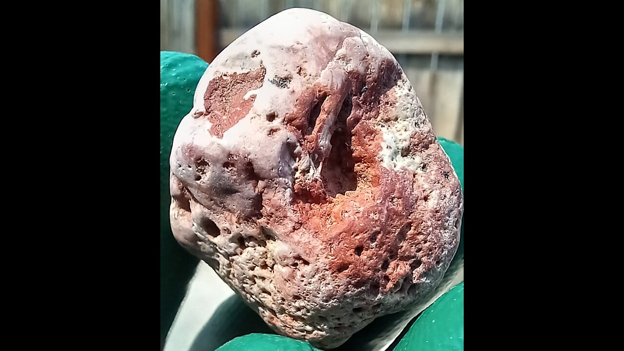 Red Metamorphic?