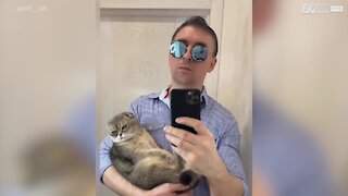 Ce chat fait de l'ombre à son maître pour le Switch Challenge