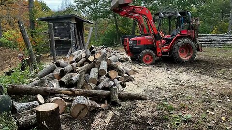 Firewood start 2023 P-2