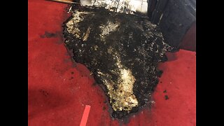 Arsonist burns Buddhist temple and fires shots at people inside