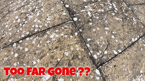 Customer Distraught! Thinking Her Neglected Patio Couldn't Be Restored! We Showed Her Otherwise!