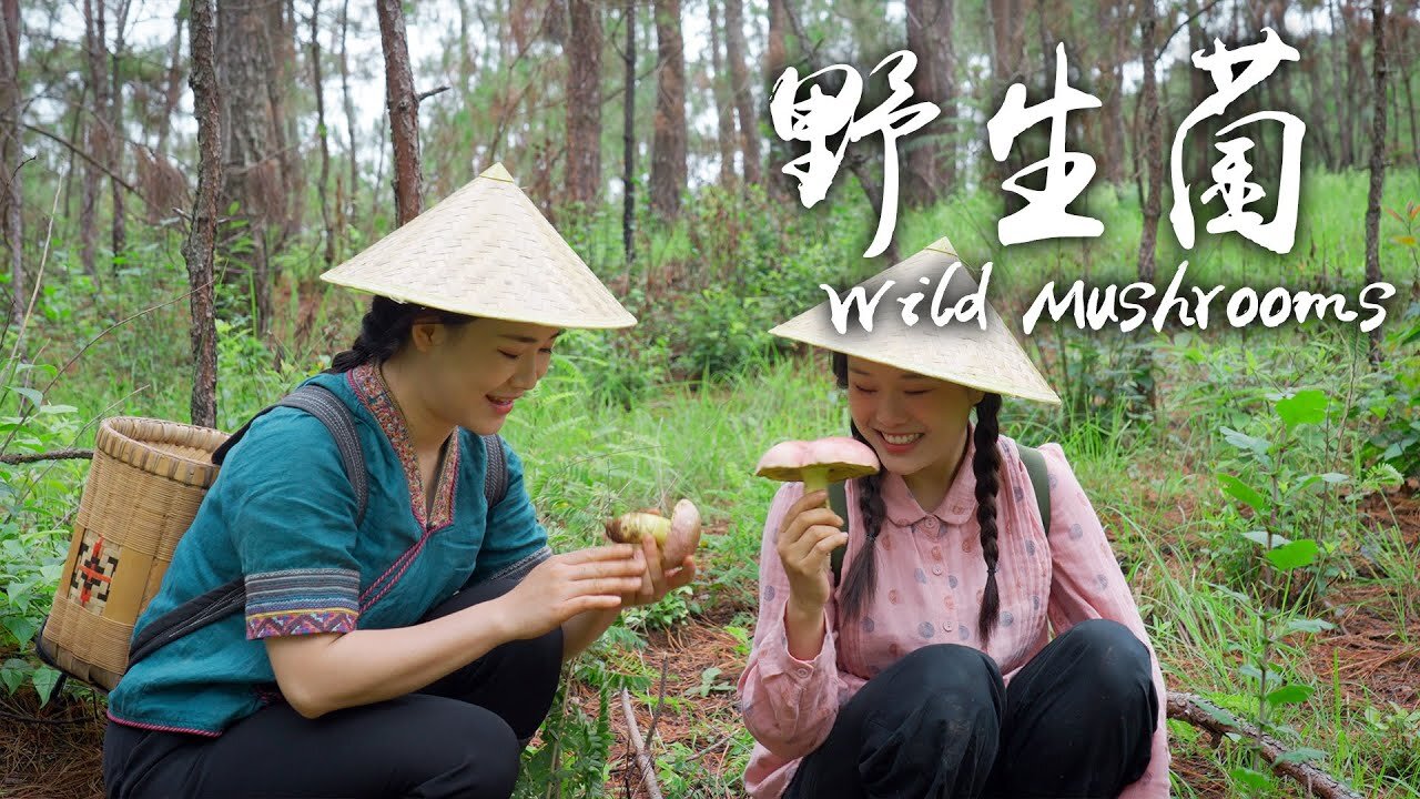 Wild Mushrooms - A pot of Indispensable Freshness for Yunnan People in Summer