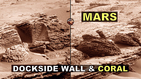 MARS Dockside Wall. Acorn Barnacles & Coral (Parts 1+2) ArtAlienTV