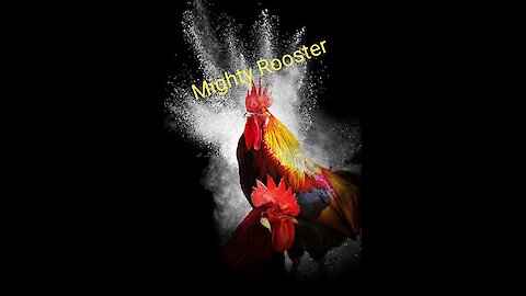 Mighty Rooster