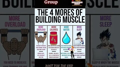 🔥The 4 mores of muscle building🔥#shorts🔥#wildfitnessgroup🔥22 December 2022🔥