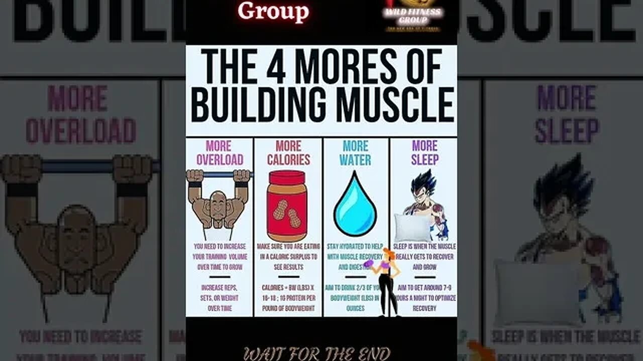 🔥The 4 mores of muscle building🔥#shorts🔥#wildfitnessgroup🔥22 December 2022🔥
