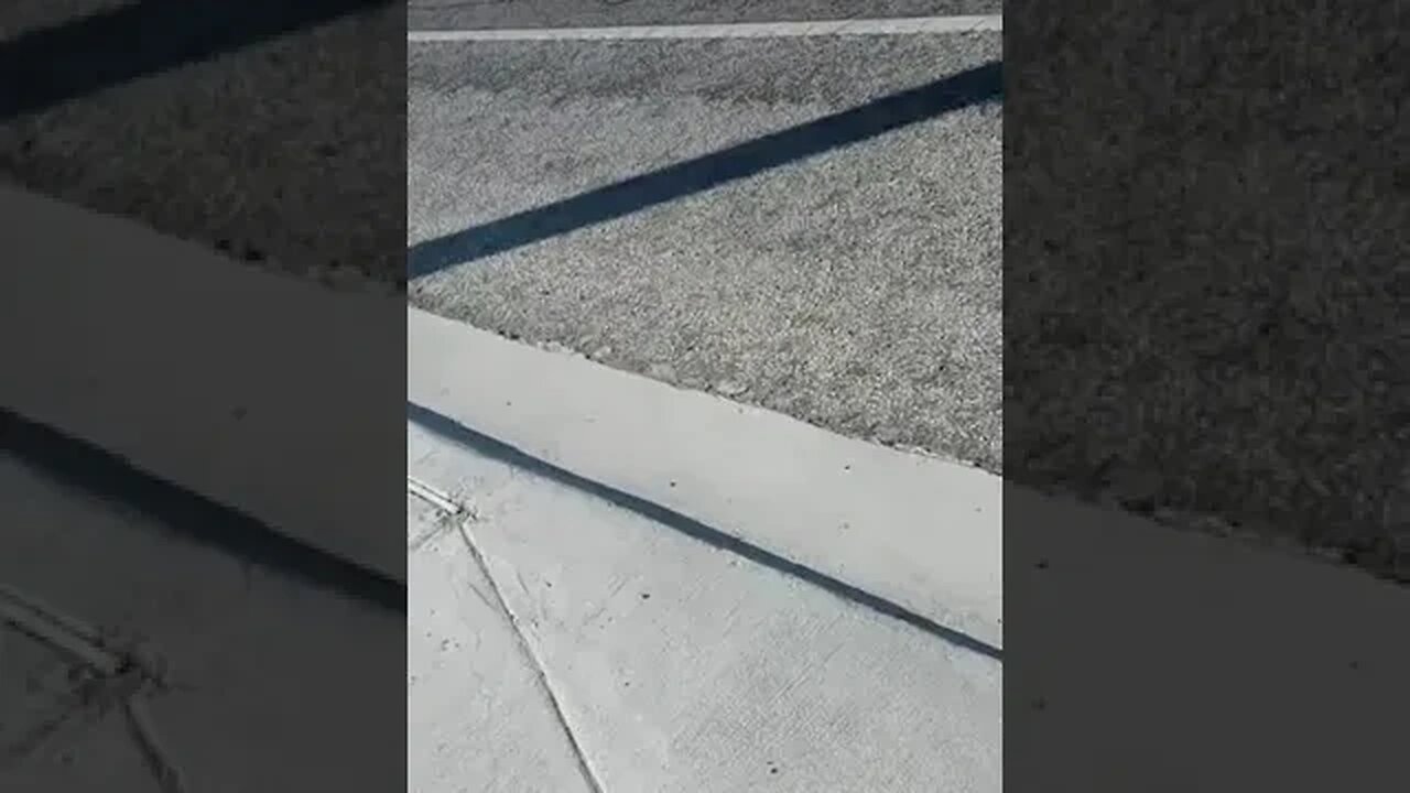 #gangstalking perp walk 08/30/2023 Pt. 1