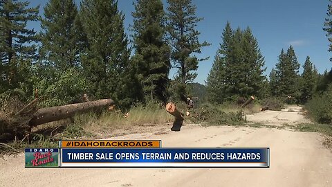 Cooperative effort improves safety at Bogus Basin