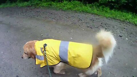 June 26th knock off high res camera, Flynn and I head south for a change