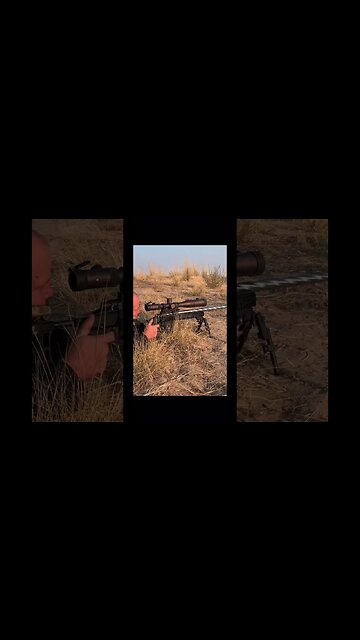 Long-range pronghorn antelope. #hunting #killshot #antelope #pronghorn #260rem