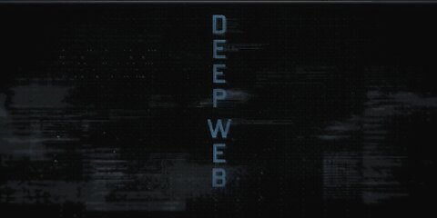 Deep Web the story of the Silk Road 2015