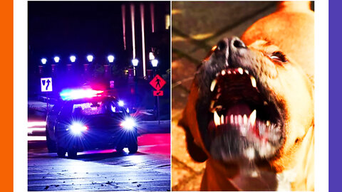 Owner Watches Toddler Get Mauled By Pit Bulls