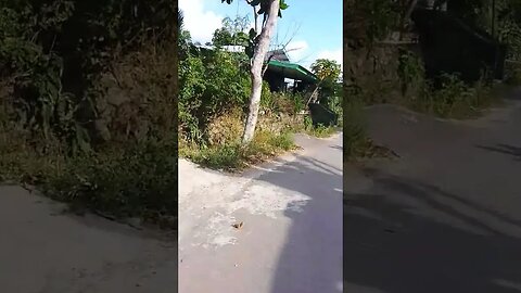 apa tujuan Kita Hidup di Muka Bumi ini?