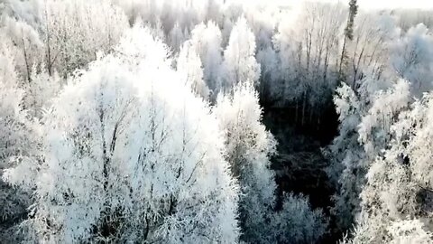 Cold Weather at the Cabin Life in Alaska @ 7