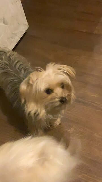 Psalm 119 you are my portion O Lord bible verses 57 Be merciful according do You word.Love You Jesus