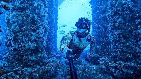 Lost Spearfishing Files || Offshore Oil Rig Diving, Spearfishing & Sketchy Shark Encounter